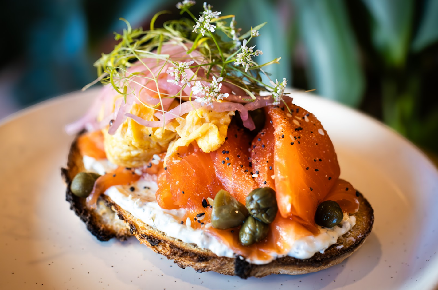 salmon toast.