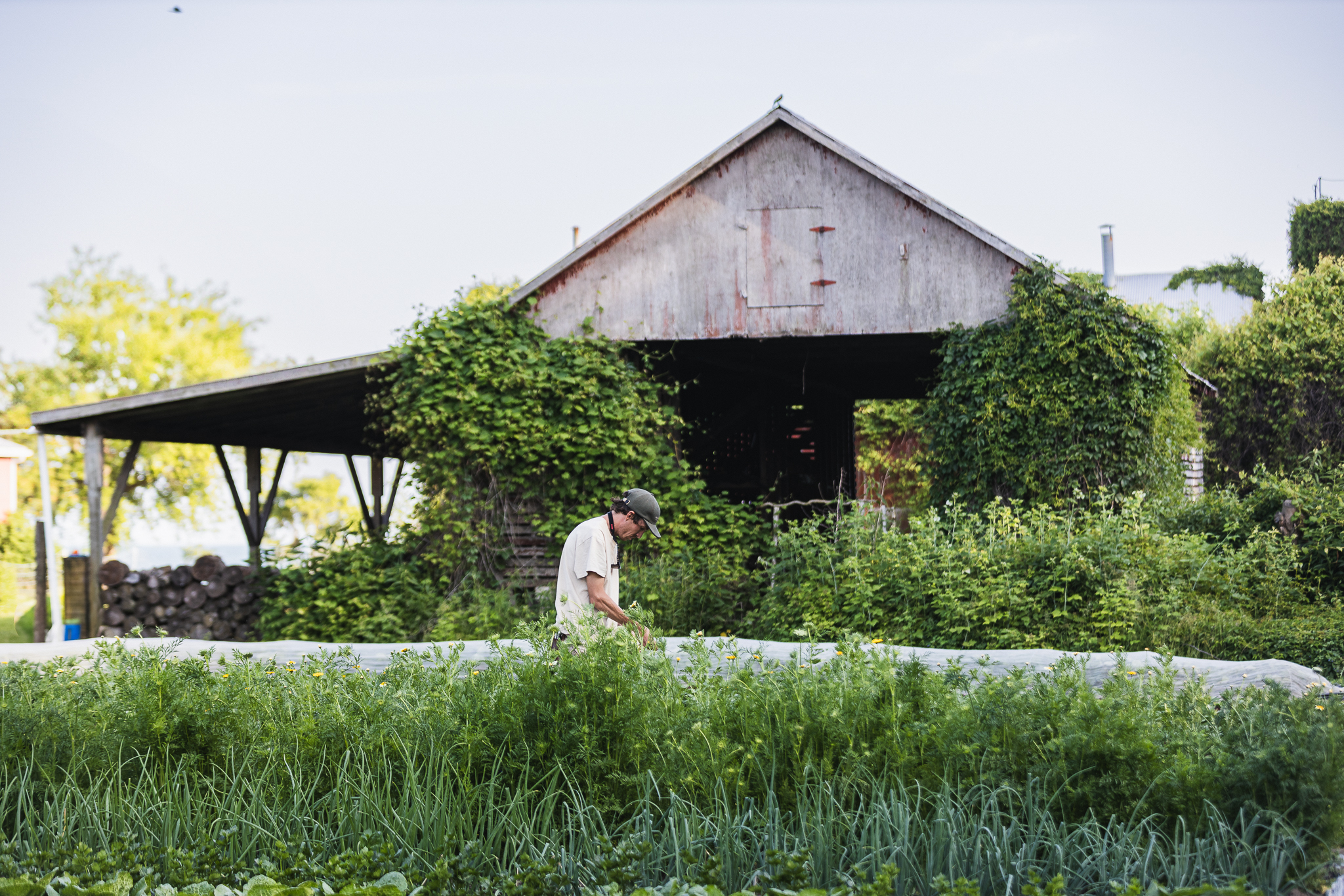 MorningMoonFarms-28